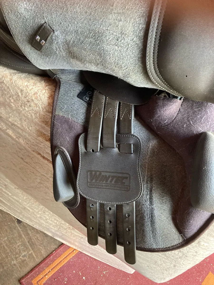 Jump saddle - Image 4