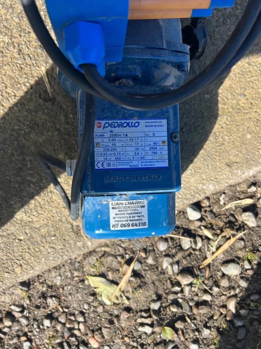 Pedrollo pump - Image 2