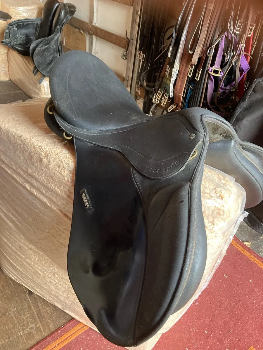 Wintec saddle - Image 1