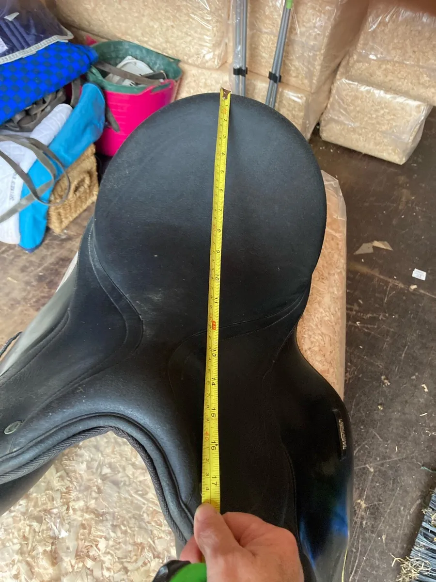 Wintec saddle - Image 2