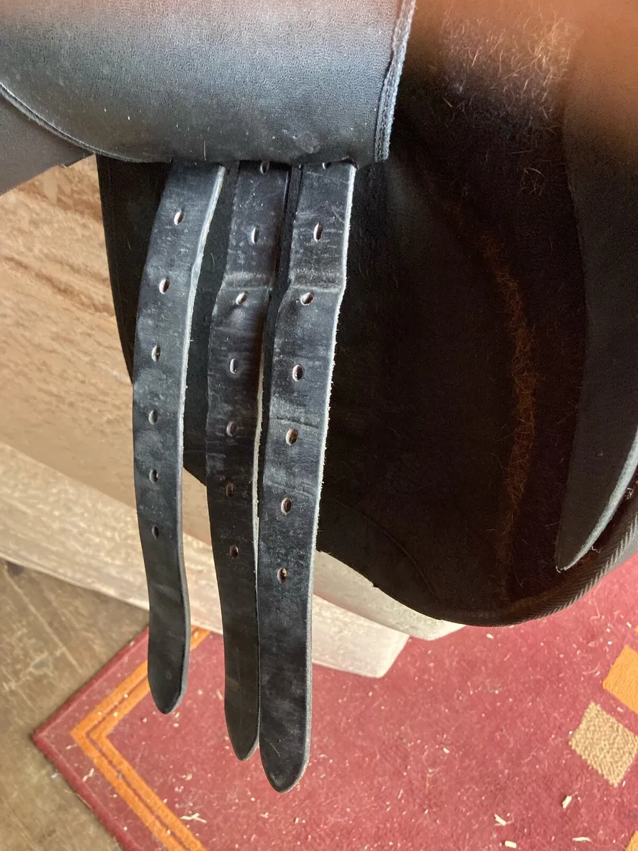 Wintec saddle - Image 3