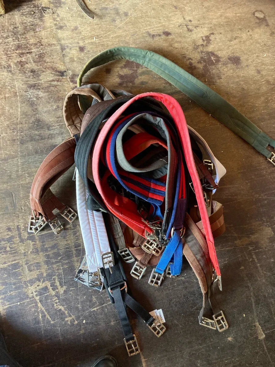 Job lot girths - Image 2