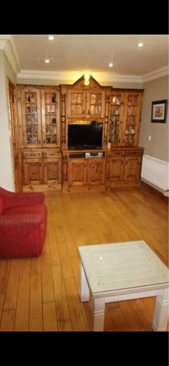 Cabinet solid wood - Image 3