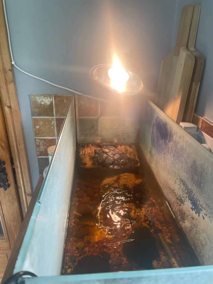 Terrapin