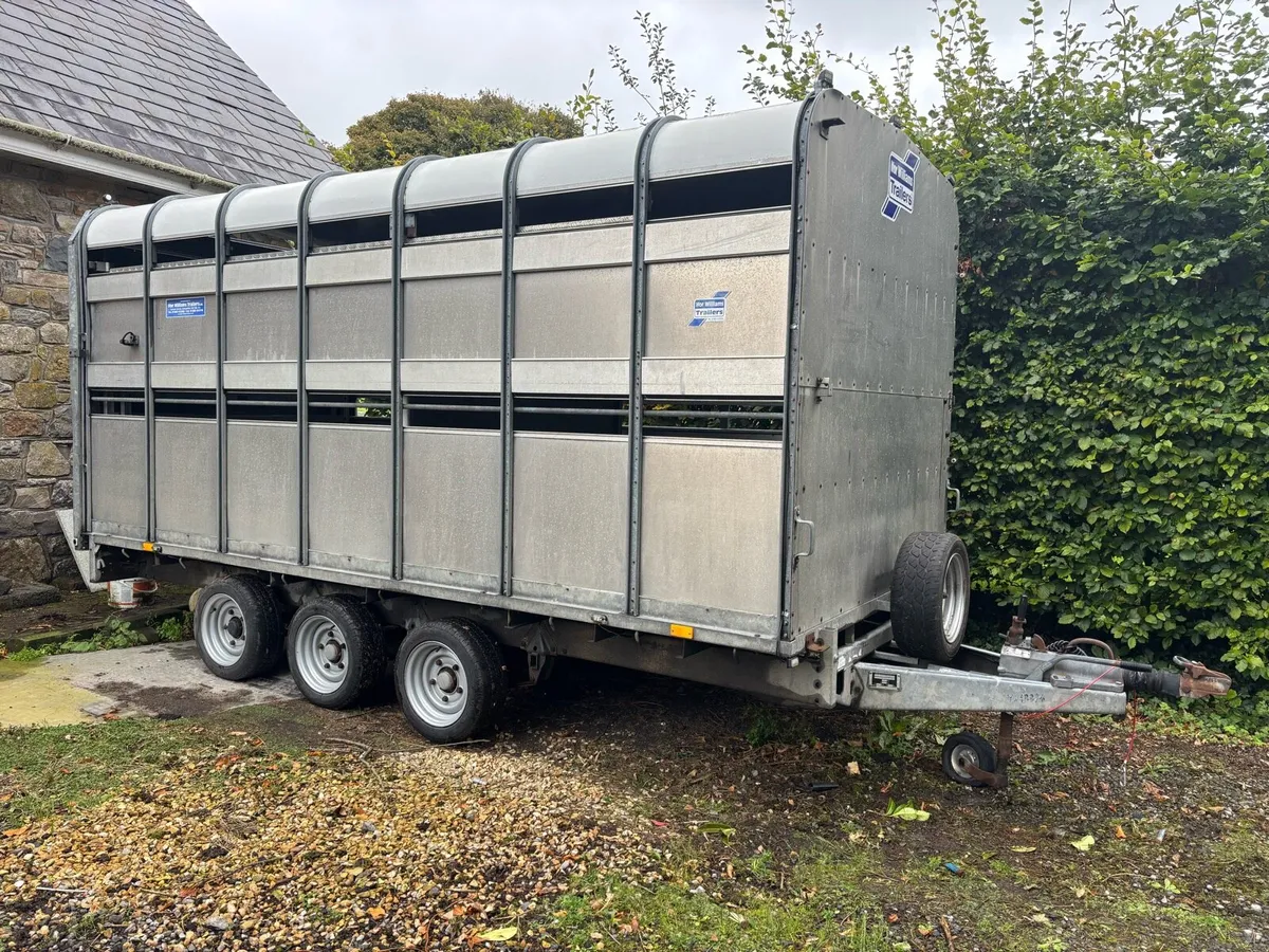Cattle trailer - Image 2