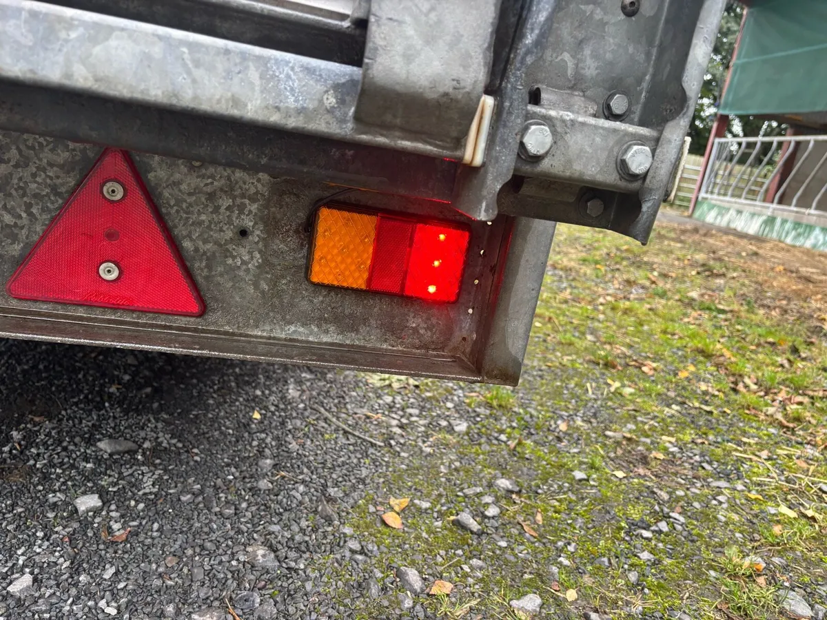 Cattle trailer - Image 4