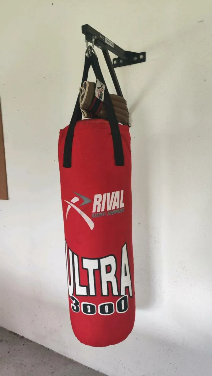 Punch Bag - Image 1