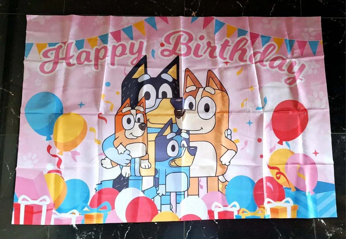 Bluey birthday backdrop