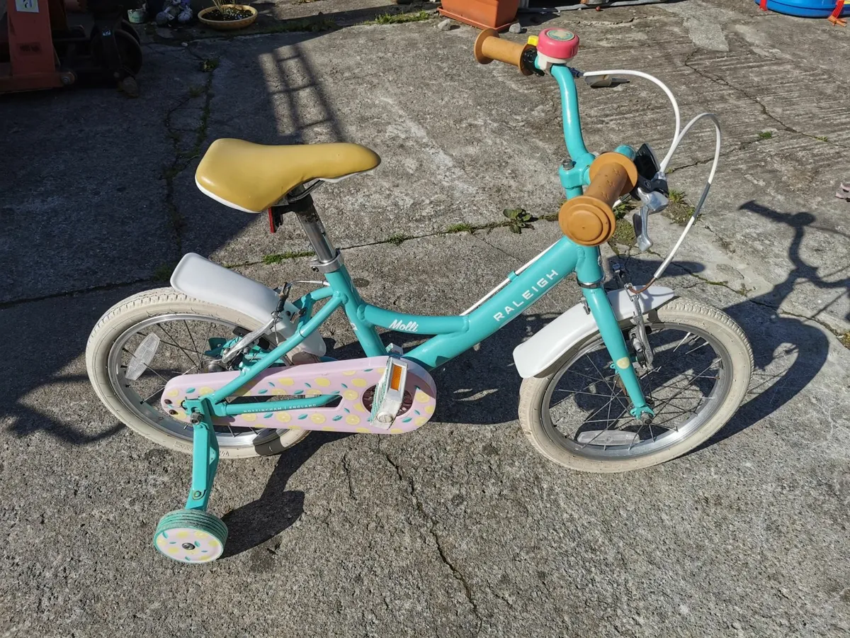 Raleigh Molli 16 Aqua kids child bike bicycle - Image 1