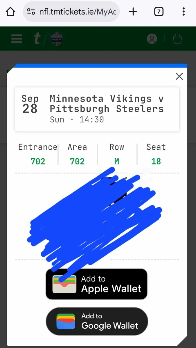 Steelers Vikings NFL Ticket Croke Park - Image 2