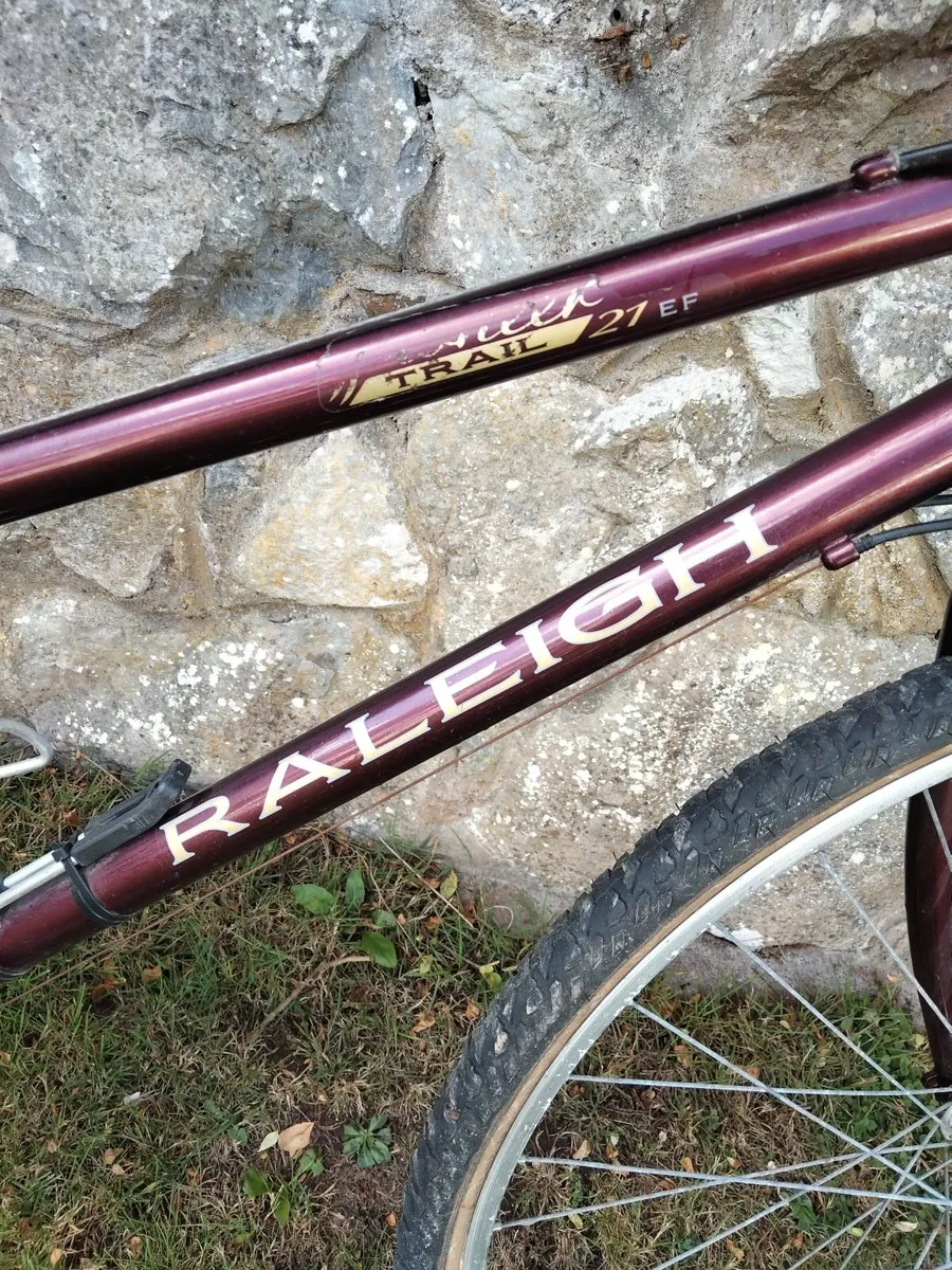 Ladies Bicycle - Image 1