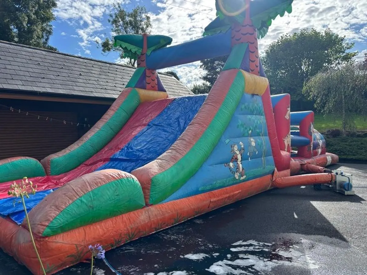 Bouncy Castle - Image 1