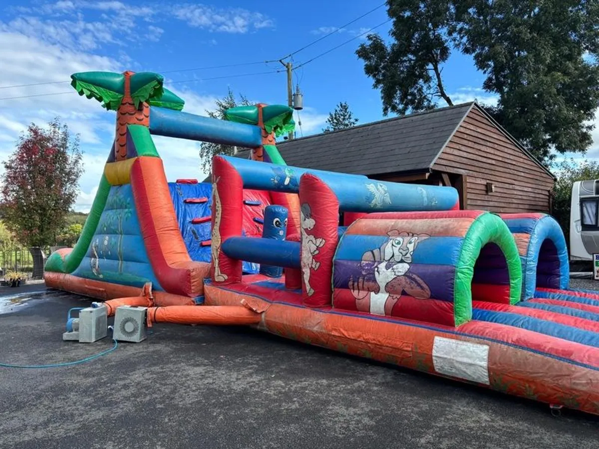Bouncy Castle - Image 2