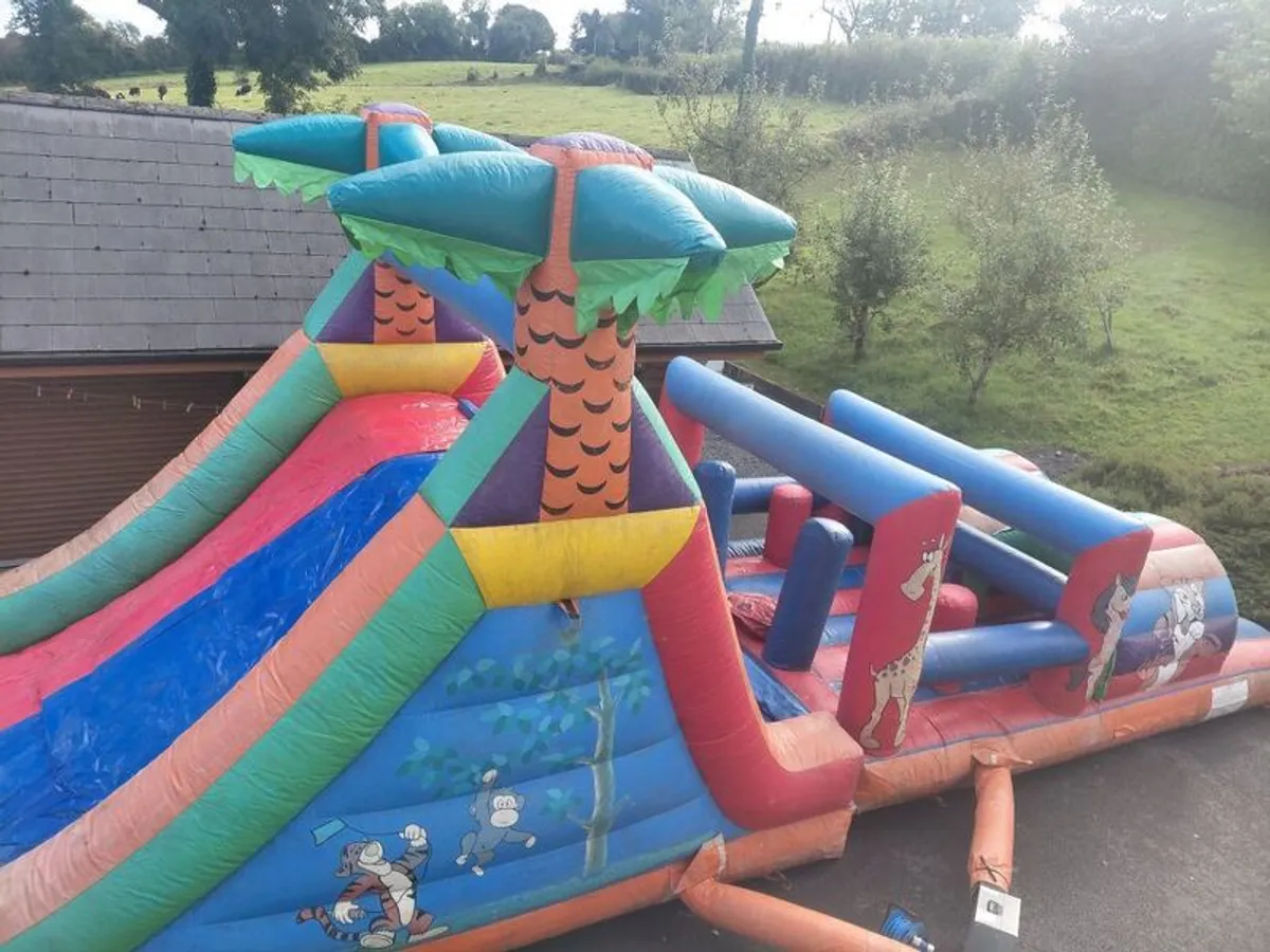 Bouncy Castle - Image 3