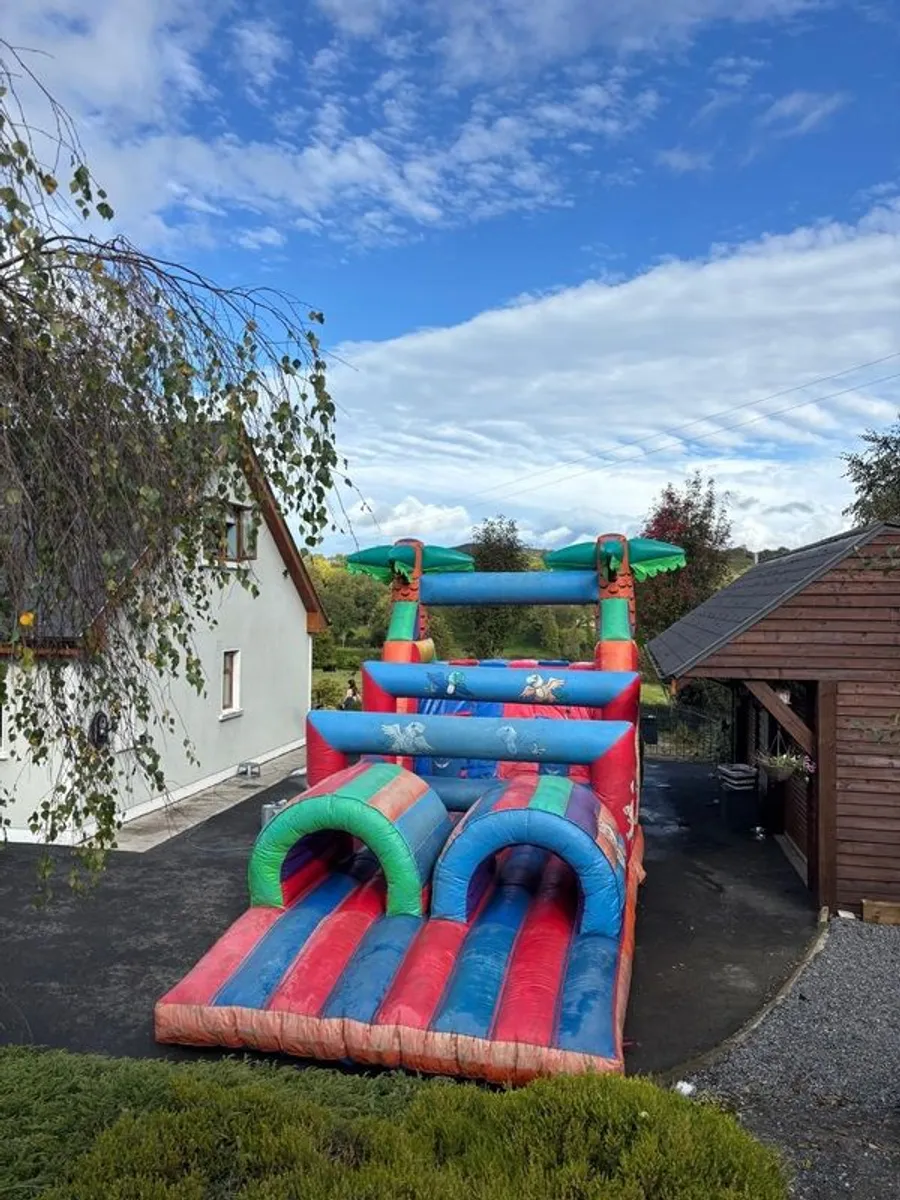 Bouncy Castle - Image 4