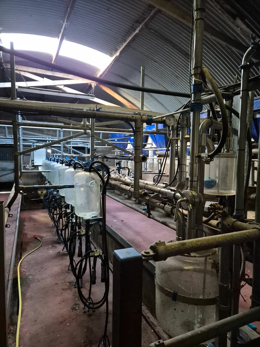 Dairymaster 12 unit Milking parlour - Image 1