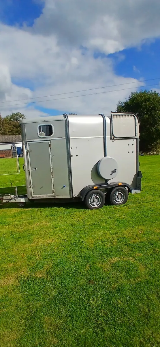 IFOR WILLIAMS 505 CLASSIC - Image 3