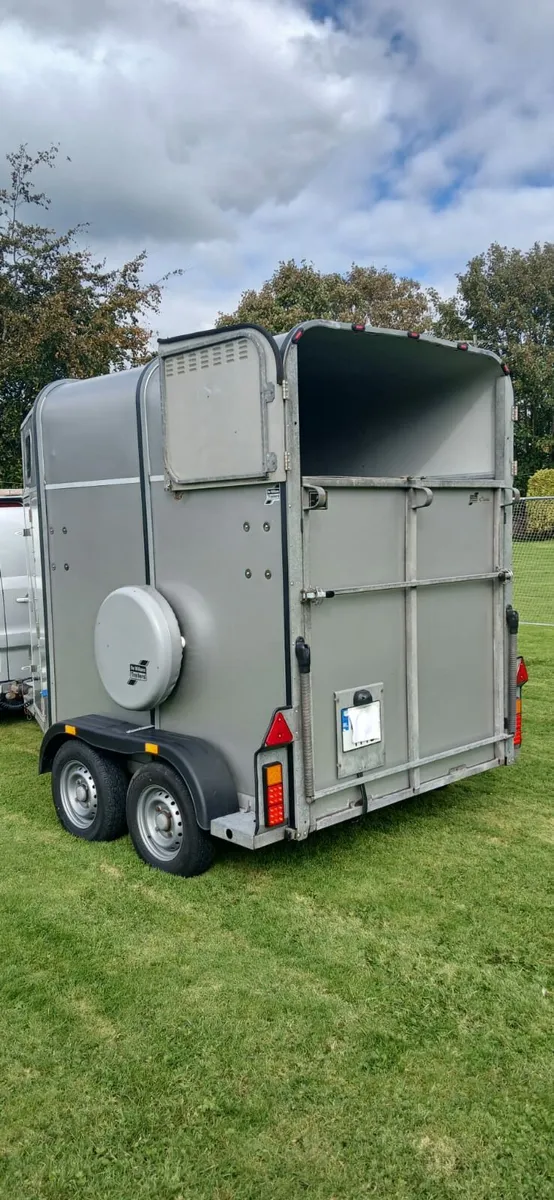 IFOR WILLIAMS 505 CLASSIC - Image 4