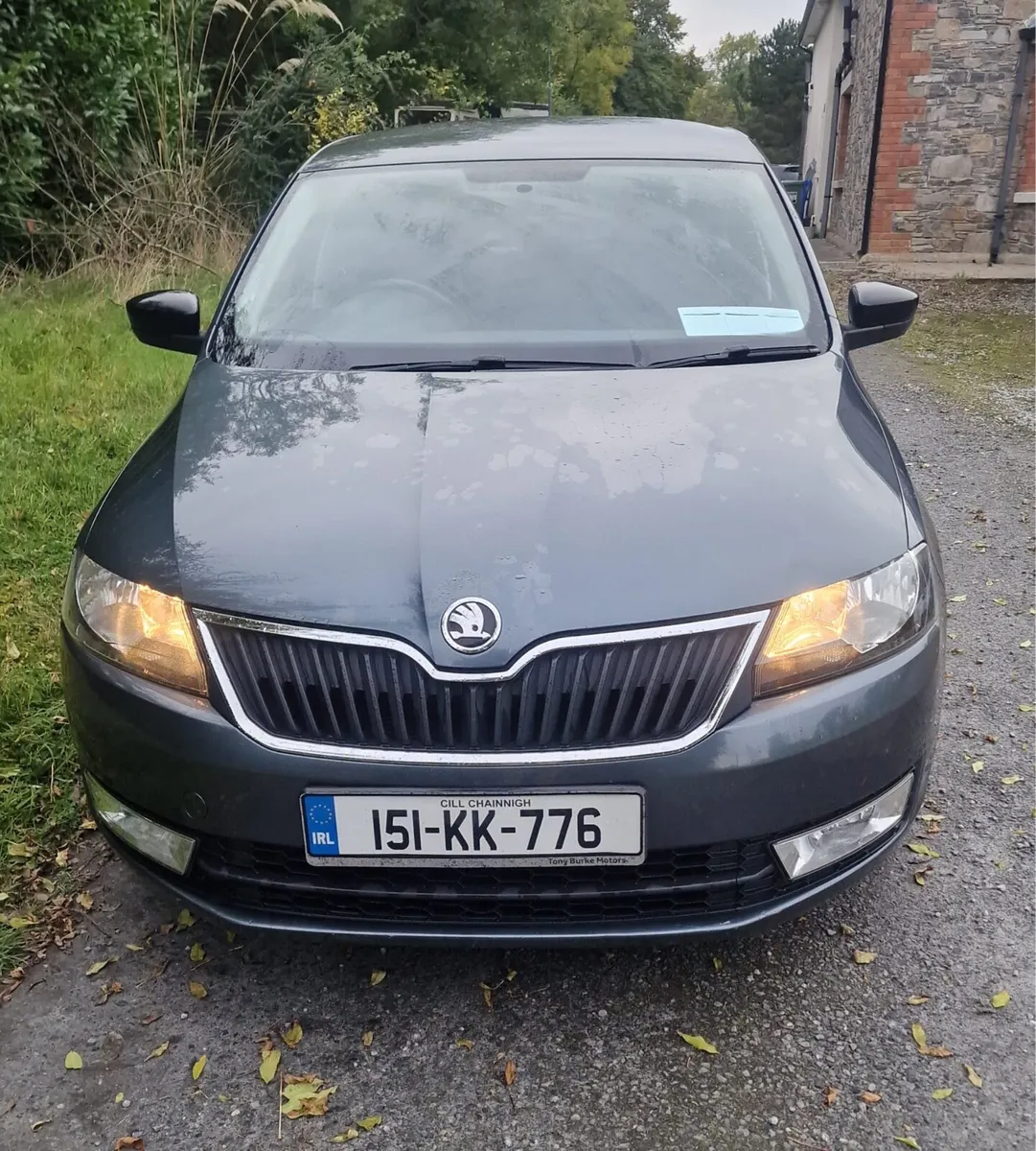 Skoda Rapid Sport - Image 1