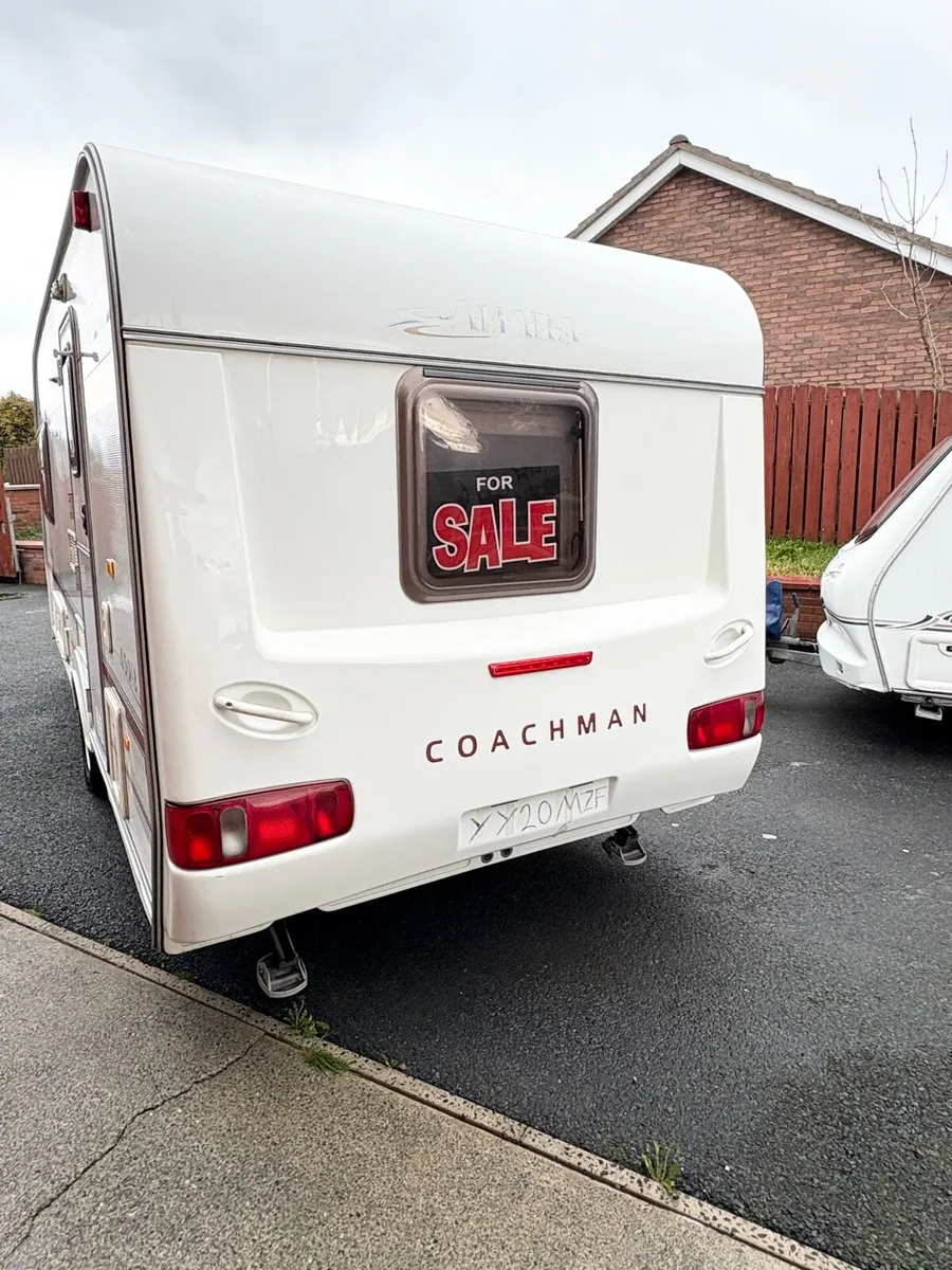 Coachman amara - Image 3