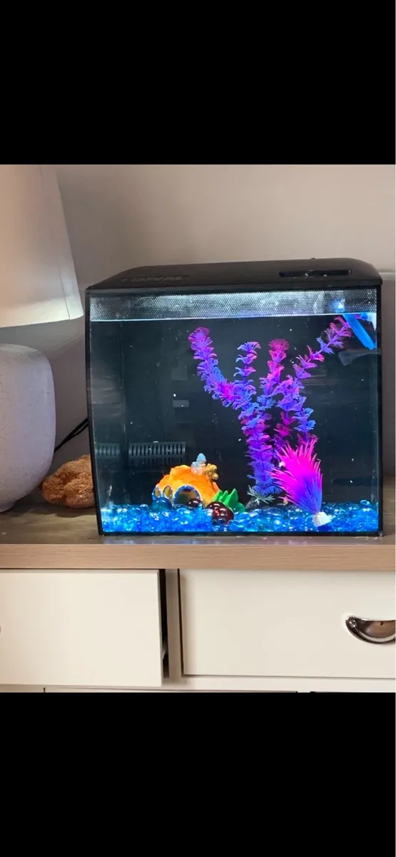 Fish Tank - Image 1