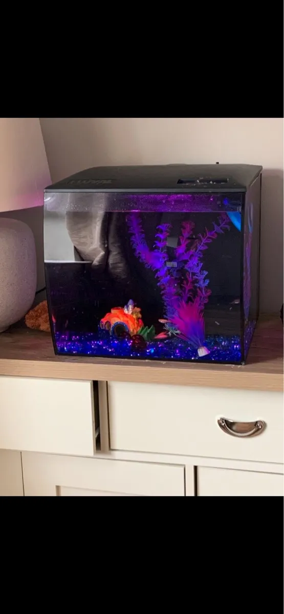 Fish Tank - Image 2
