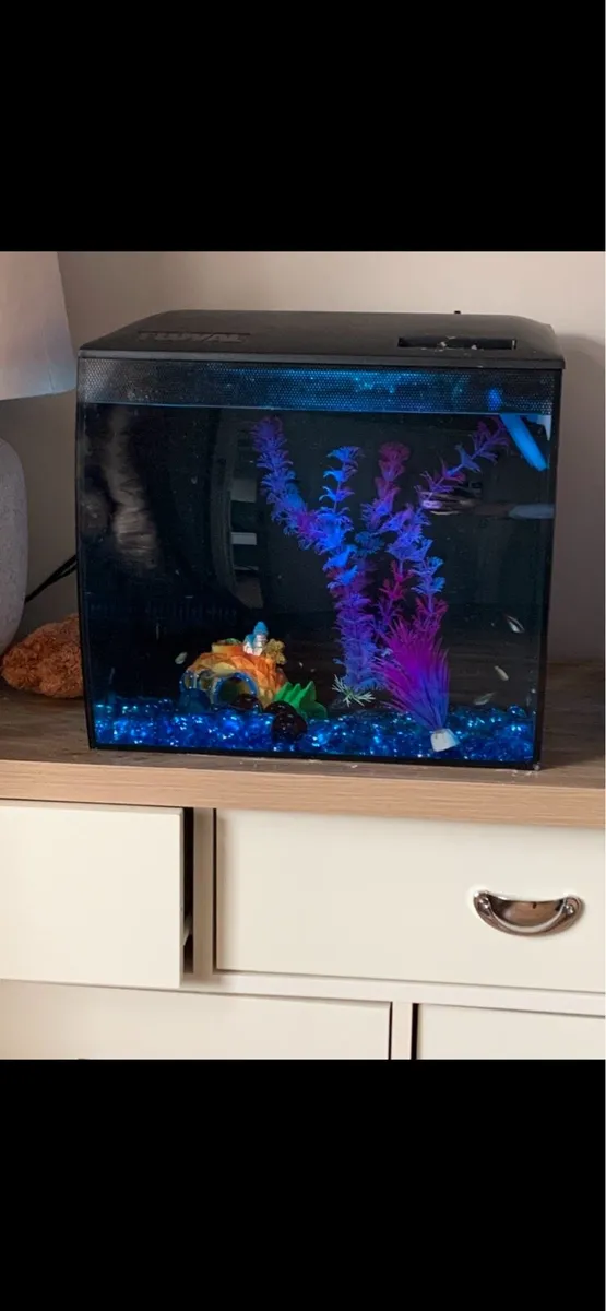 Fish Tank - Image 3