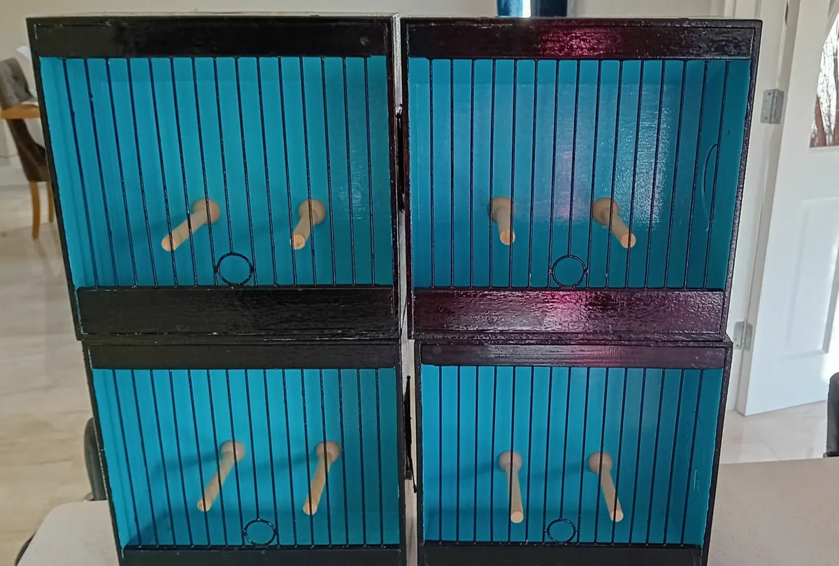 Irish Fancy show cages - Image 1
