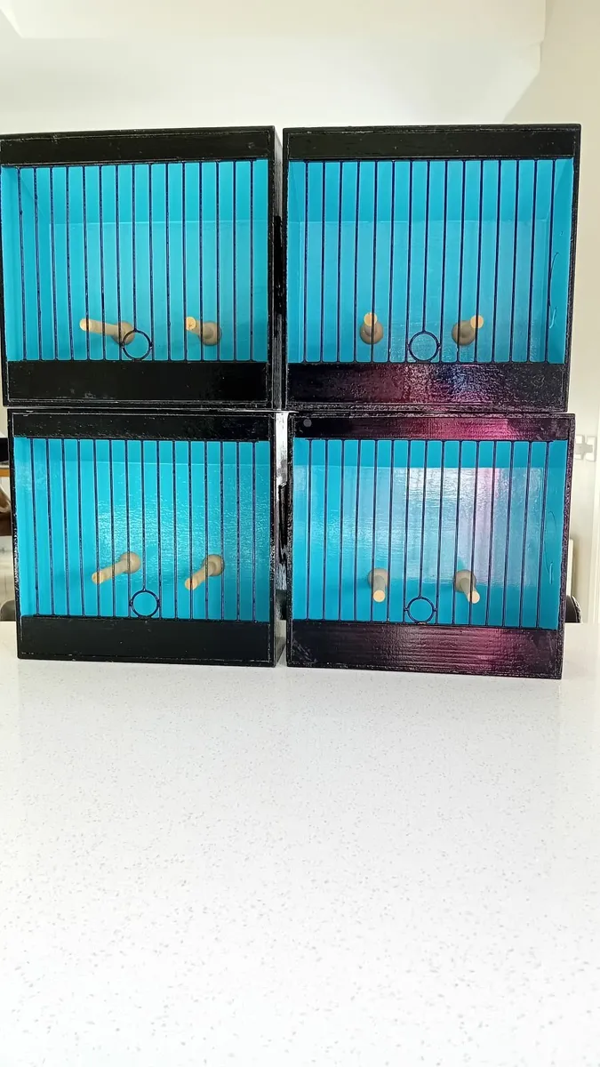 Irish Fancy show cages - Image 3
