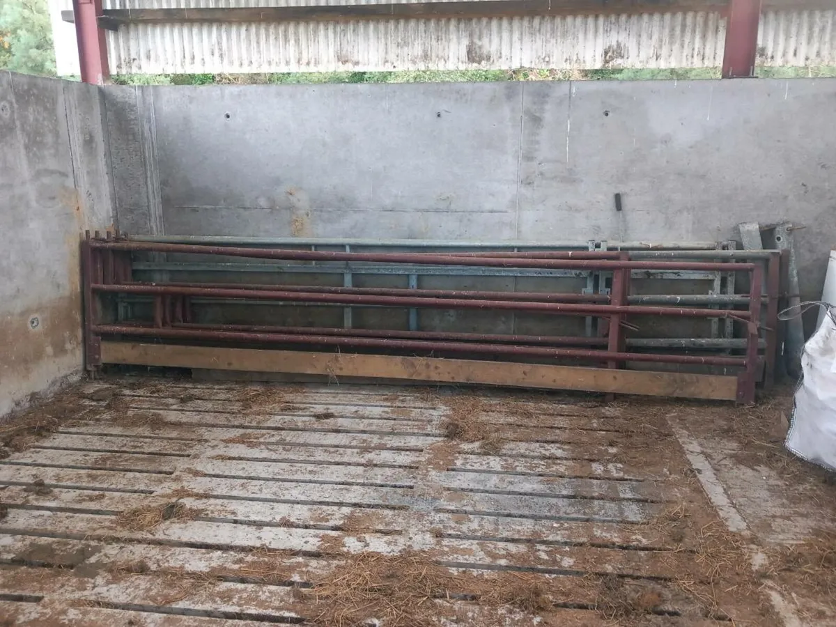 Livestock