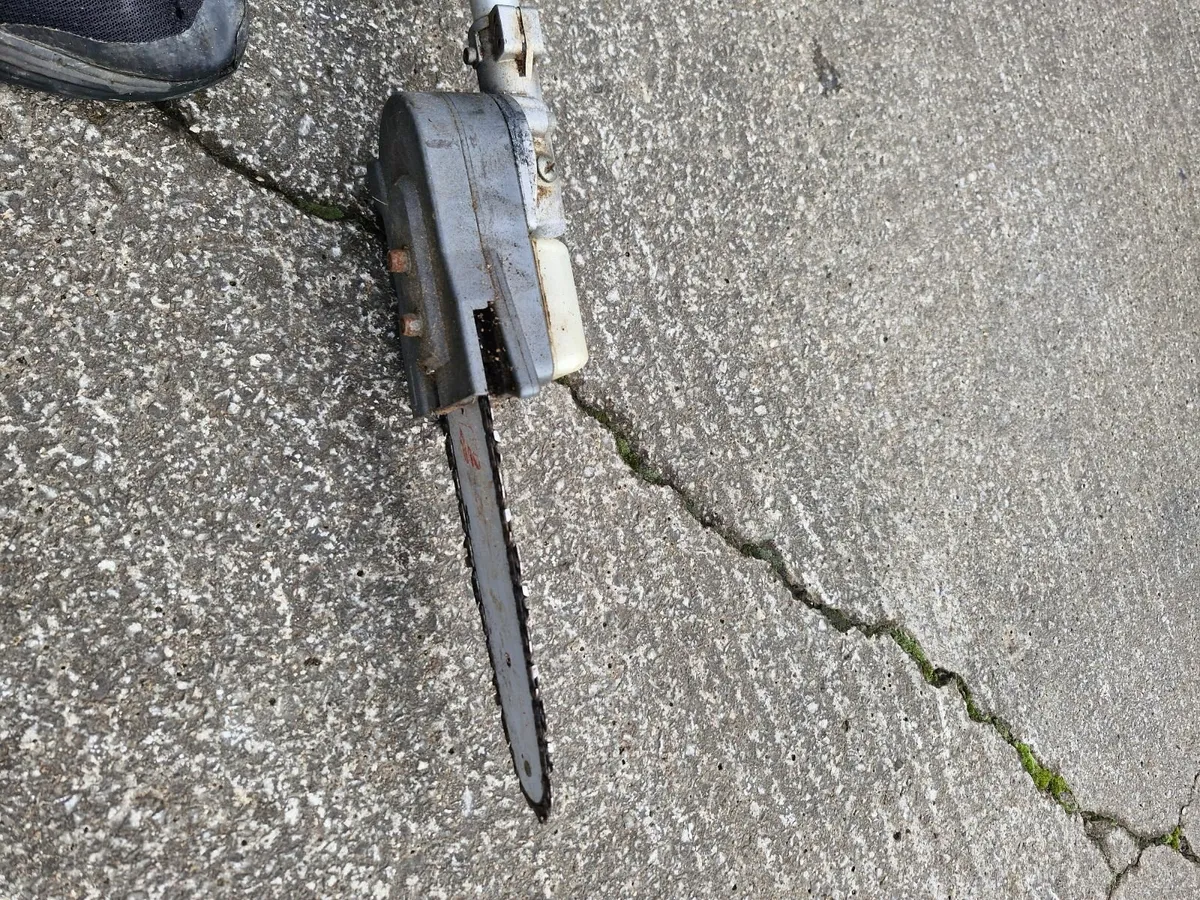 Extendable pole saw and a Generator - Image 3