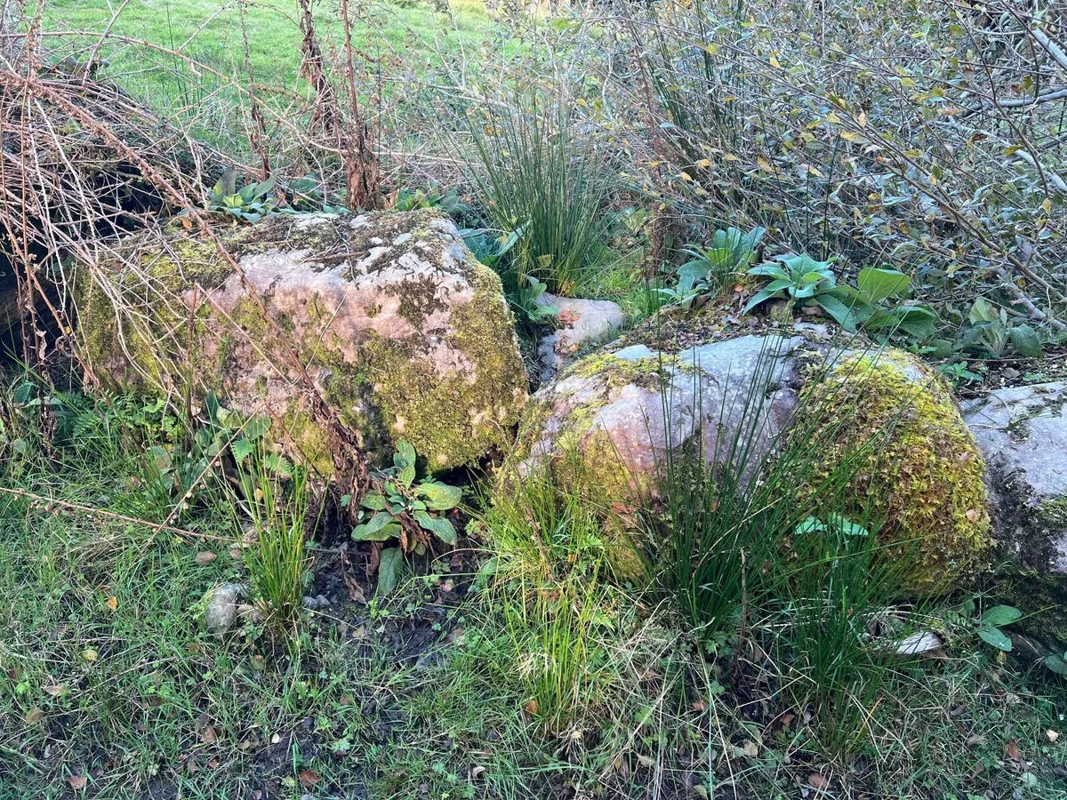 Rocks & Stones - Image 3
