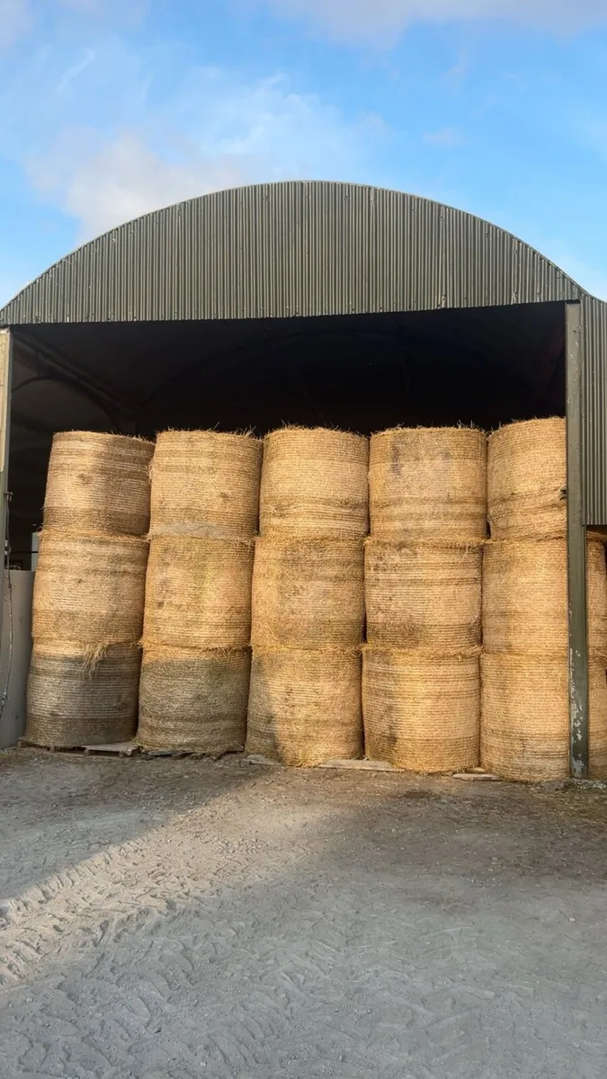 4X4 Bales of Hay - Image 4
