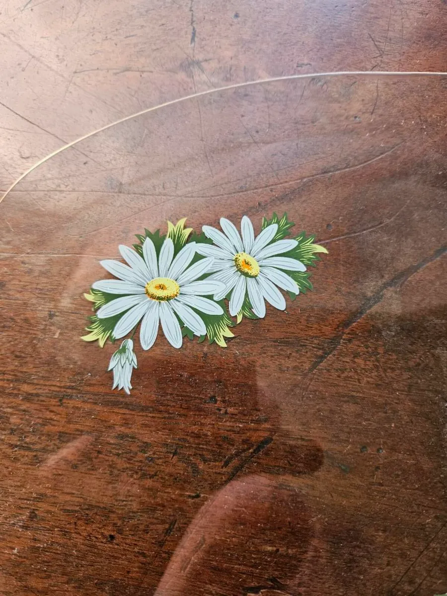 Vintage Retro 1970's Glass Plate - Image 3