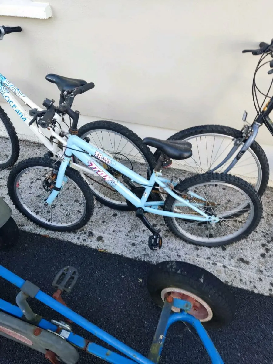 Go-Kart and bikes...garage clearout - Image 3