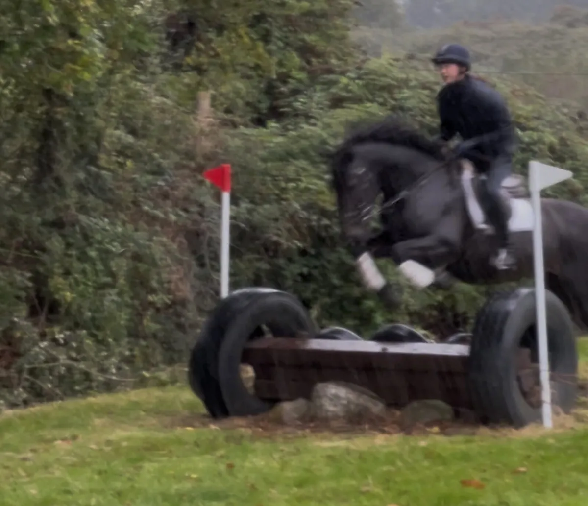 15.2hh Diamond Valley Prince mare hunter - Image 1