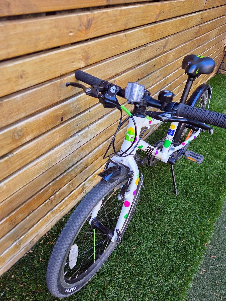 Kids Frog Bike - Image 3