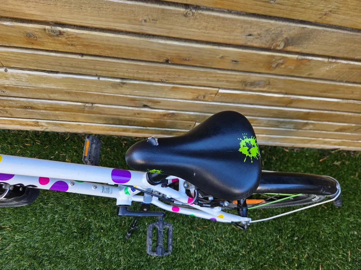 Kids Frog Bike - Image 4