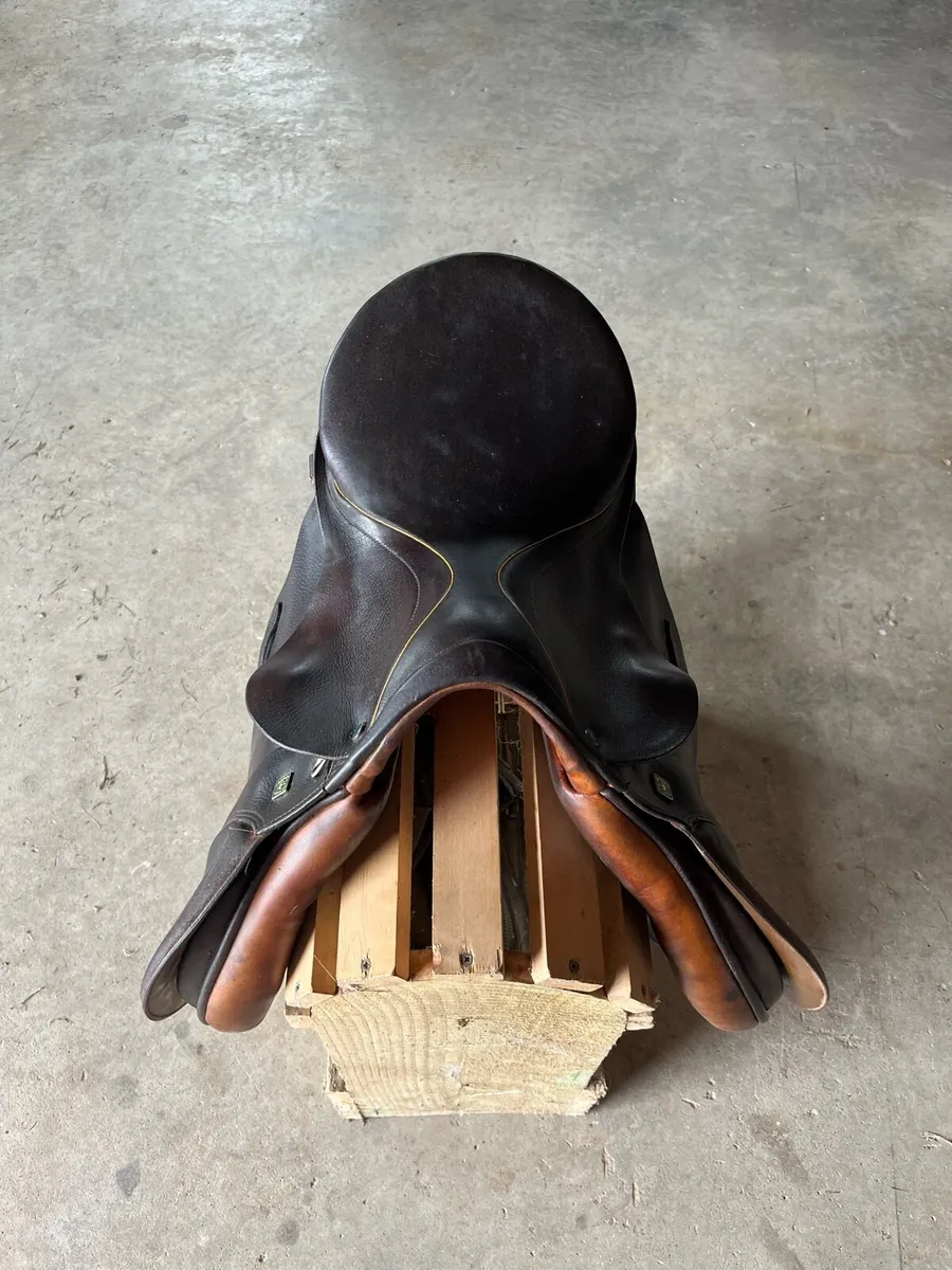 Stubben saddle for sale - Image 1