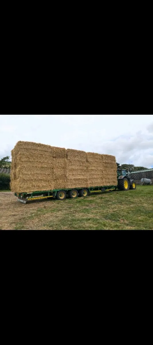 Wheaten straw