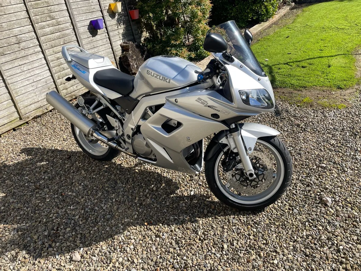 Suzuki SV1000 - Image 2