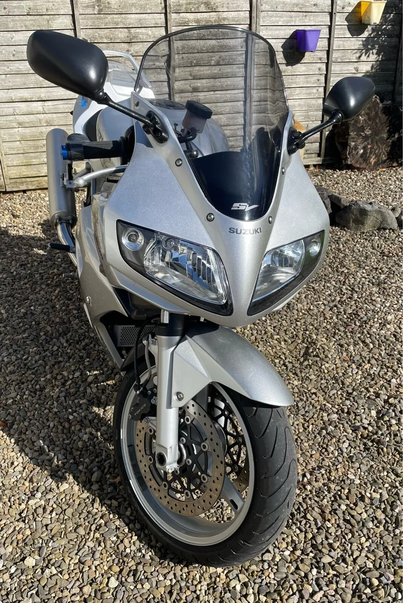 Suzuki SV1000 - Image 3