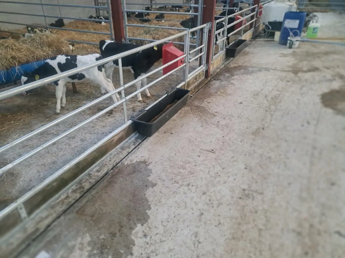 Calf feeder - Image 3