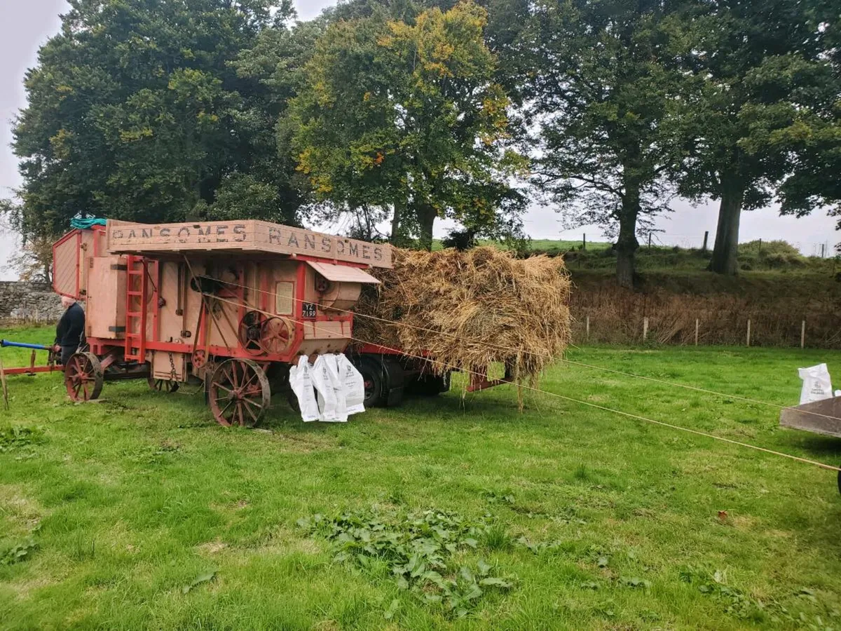 Bags of Feed Corn and Bales of straw - Image 2