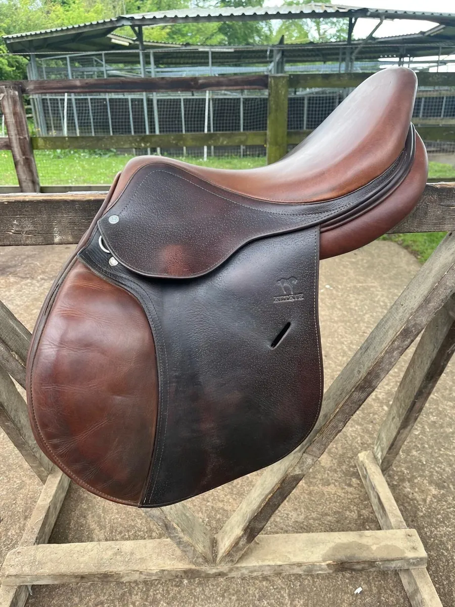 Anteras saddle - Image 1