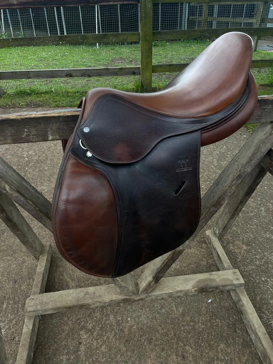 Anteras saddle - Image 2
