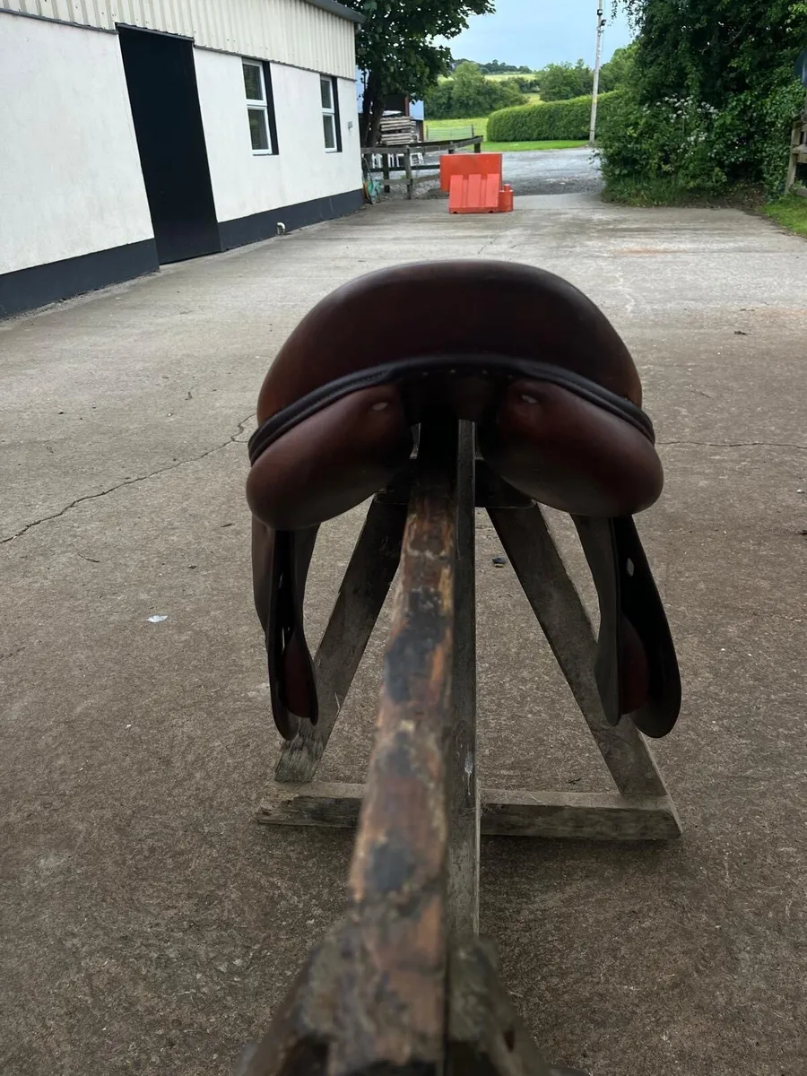 Anteras saddle - Image 4