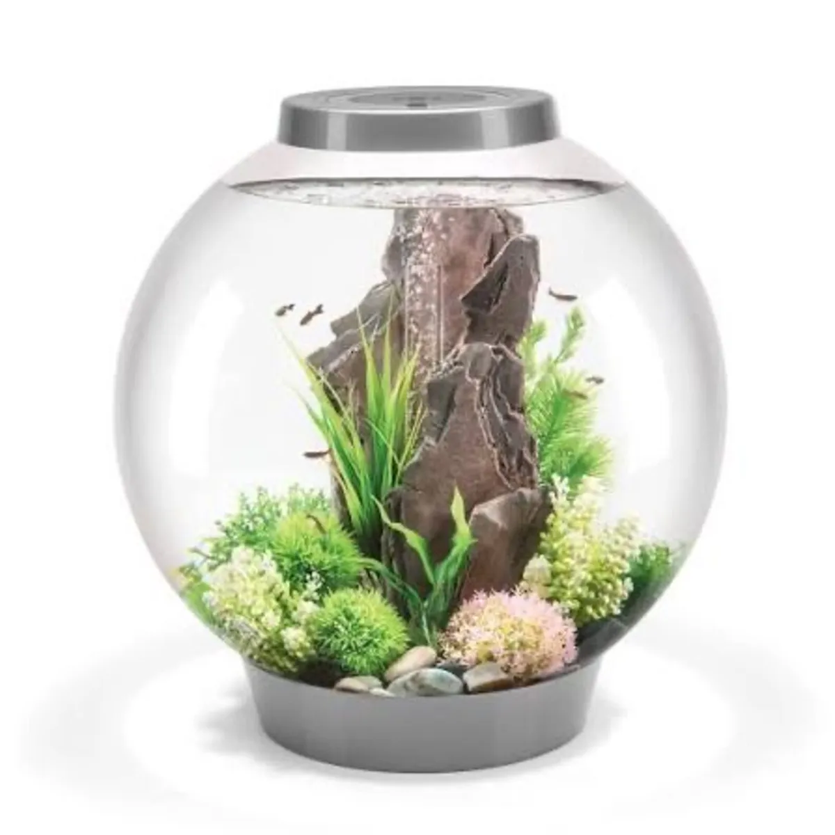 BioOrb 30L Fish Tank - Image 1