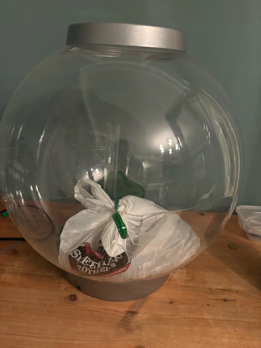 BioOrb 30L Fish Tank - Image 2