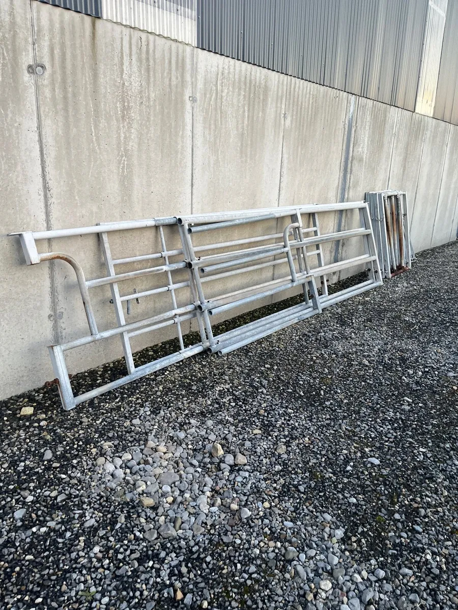 Cattle barrier - Image 3